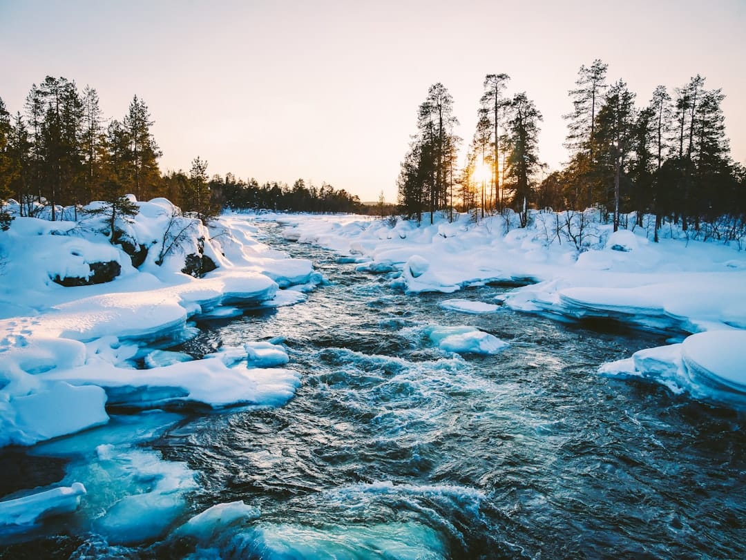 Finland’s iGaming Transition: Analyzing 50 License Applications and Global Market Implications